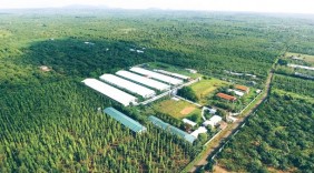 Phát triển kinh tế carbon thấp: Điều kiện 'cần' để hướng đến kinh tế tuần hoàn