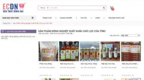 Đồng Nai: Giữ vững top 10 tỉnh có chỉ số thương mại điện tử dẫn đầu năm 2024
