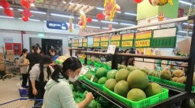 Đưa sản phẩm Quảng Trị vào hệ thống phân phối Saigon Co.op