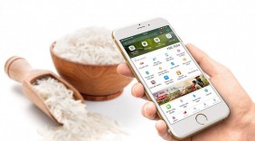 Cách nào để nông sản duy trì “đất sống” trên sàn thương mại điện tử?