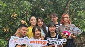 Sơn La: Đa dạng giải pháp xúc tiến tiêu thụ trái cây