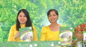 Bến Tre công bố chỉ dẫn địa lý cho 7 sản phẩm chủ lực