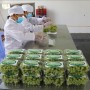 Mở rộng đầu ra cho nông sản Ninh Thuận nhờ thương mại điện tử