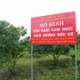 Vườn cam sung sức nhờ một năm ra quả, một năm nghỉ ngơi
