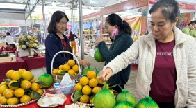 Doanh nghiệp bán lẻ: Nắm bắt xu hướng tiêu dùng mới để làm chủ “sân chơi”