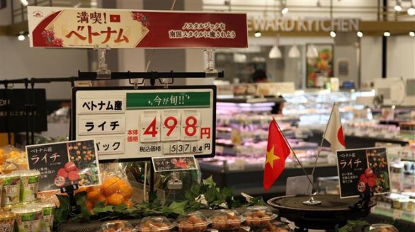 Hàng Việt chinh phục hệ thống phân phối toàn cầu