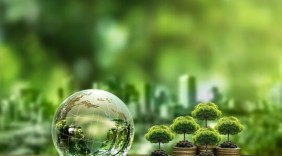 Từ chuẩn bị đến triển khai: Doanh nghiệp trước ngưỡng vận hành thị trường carbon