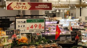 Hàng Việt chinh phục hệ thống phân phối toàn cầu