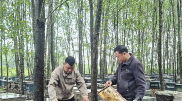 Đưa sản phẩm OCOP vươn ra thị trường