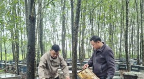 Đưa sản phẩm OCOP vươn ra thị trường