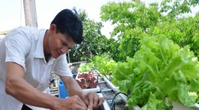 Chàng kỹ sư kiếm tiền tỷ từ rau sạch