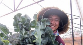Bốn “hot boy” rủ nhau lên Đà Lạt... trồng rau hữu cơ