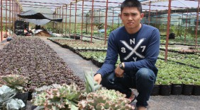 'Vua' sen đá ở xứ hoa Đà Lạt
