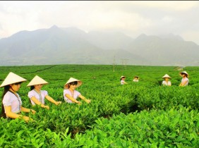 Thương mại điện tử mở ra cơ hội lớn cho đặc sản miền núi