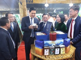 Đa dạng sản phẩm OCOP, Nghệ An khẳng định lợi thế nông sản địa phương