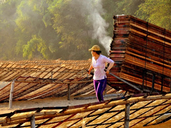 Thu gom bún khô mỗi chiều