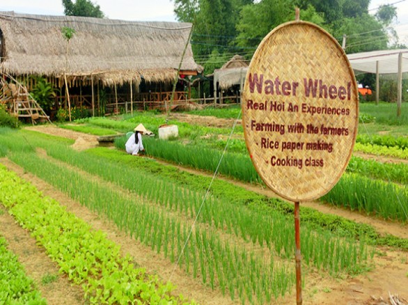 Làng rau Trà Quế - Hội An