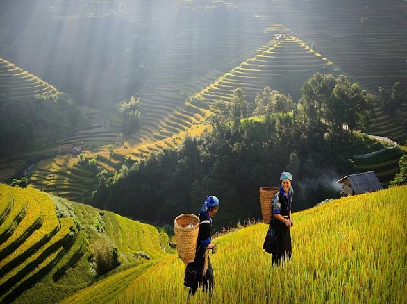 Mù Căng Chải - ngắm vương quốc ruộng bậc thang
