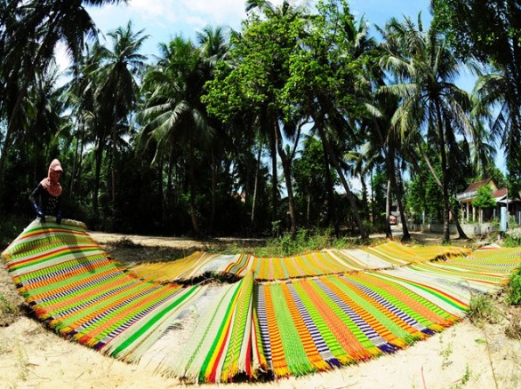 Nghề làm chiếu cói