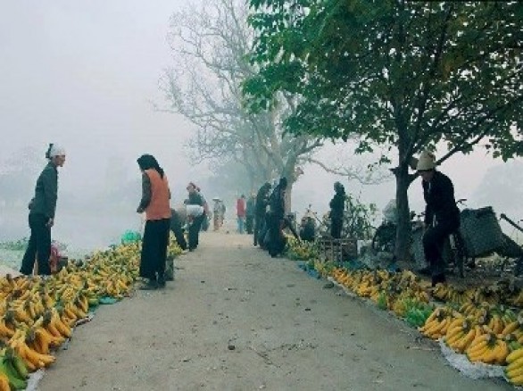 Bình dị chợ quê