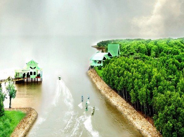Cà Mau đẹp hoang sơ và cuốn hút