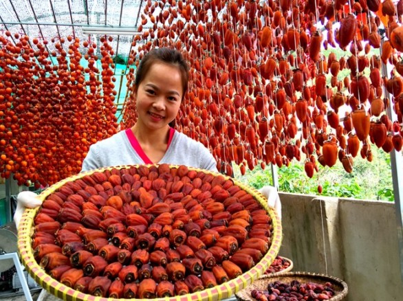 Làm hồng khô Đà Lạt