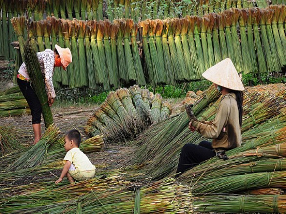 Làng nghề đan bàng Phú Mỹ