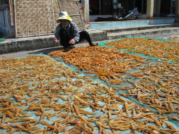 Phơi khoai deo ở Quảng Bình