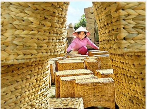 Làng nghề đan lục bình ở Hậu Giang