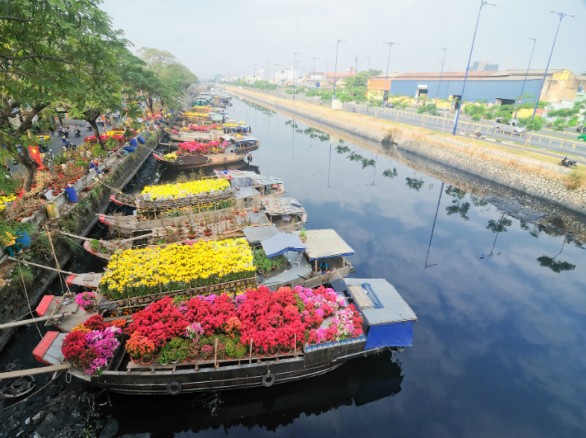 Làng hoa Tân Quy Đông (Sa Đéc - Đồng Tháp)