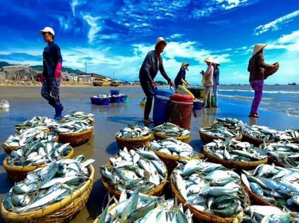 Thiên đường hải sản ở Long Hải