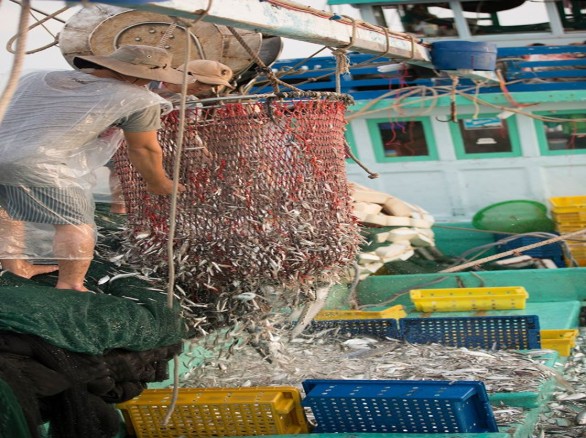 Đặc trưng của nước mắm Phú Quốc
