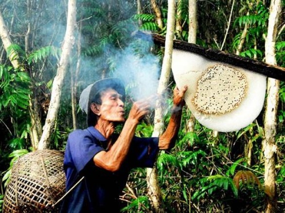 Nghề gác kèo ong ở rừng U Minh Hạ