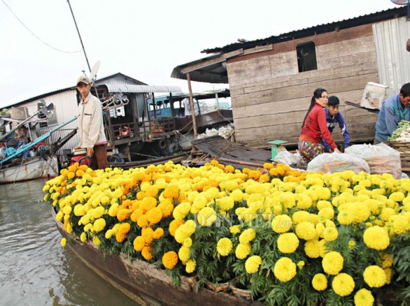 Chợ nổi Cái Răng