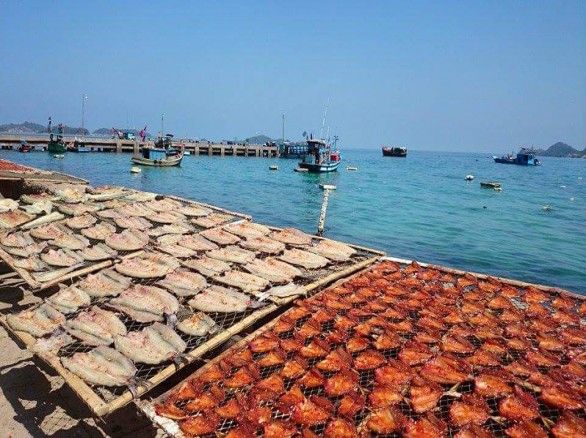 Cảnh phơi Cá Xương Xanh – đặc sản Nam Du