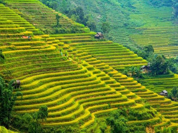 Tháng 10 - Mùa săn lúa chín