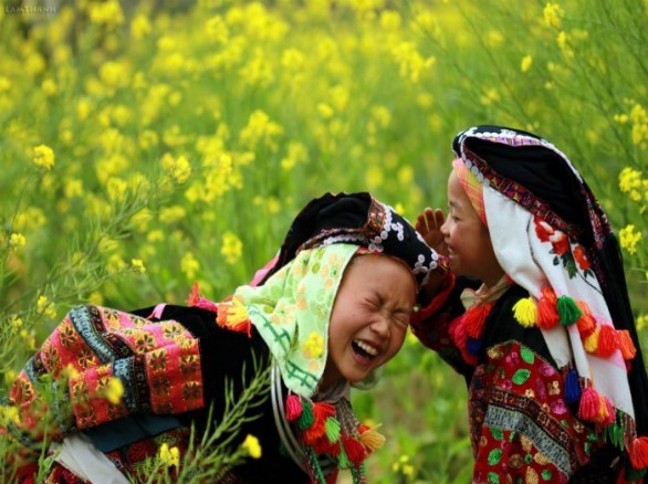 Mùa cải vàng ở Hà Giang