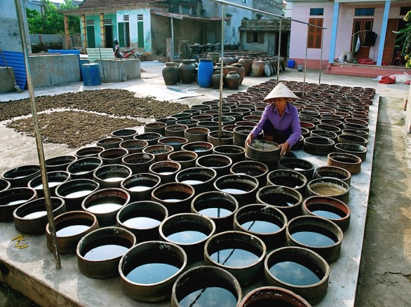 Làng nghề nước mắm Sa Châu - Nam Định