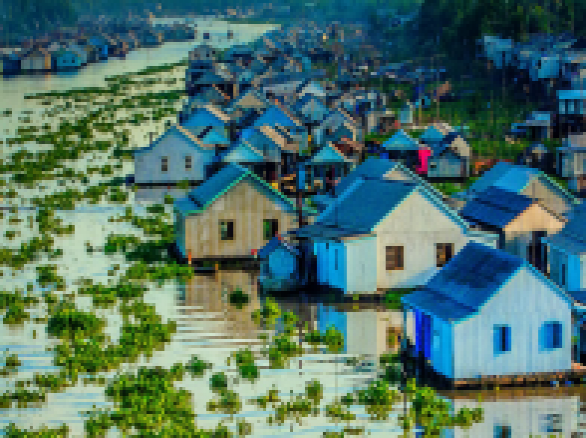 Làng nổi bè cá như một bức tranh thủy mặc êm đềm
