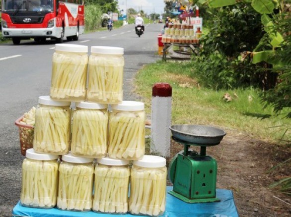 Dưa bồn bồn Cà Mau