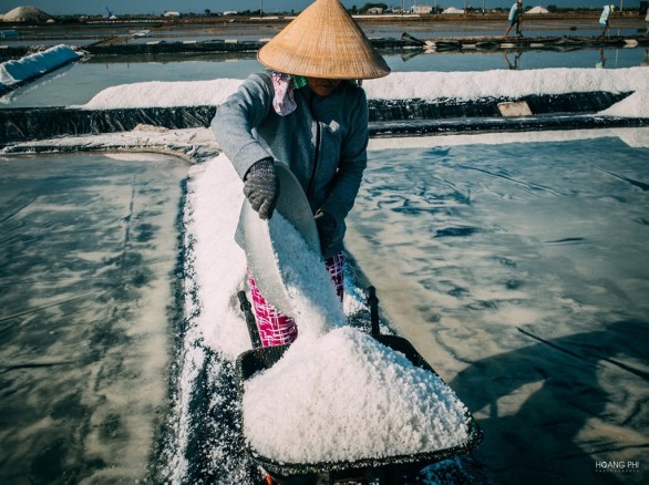 Cánh đồng muối Bà Rịa - Vũng Tàu những ngày nắng gắt