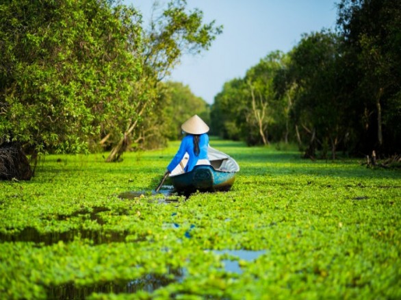 Đẹp quyến rũ rừng tràm Trà Sư