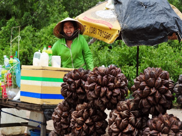 Lạ lùng trái dừa nước Miền Tây