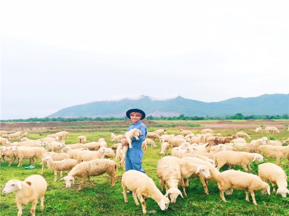Đậm chất du mục ở Đồi cừu Bà Rịa-Vũng Tàu