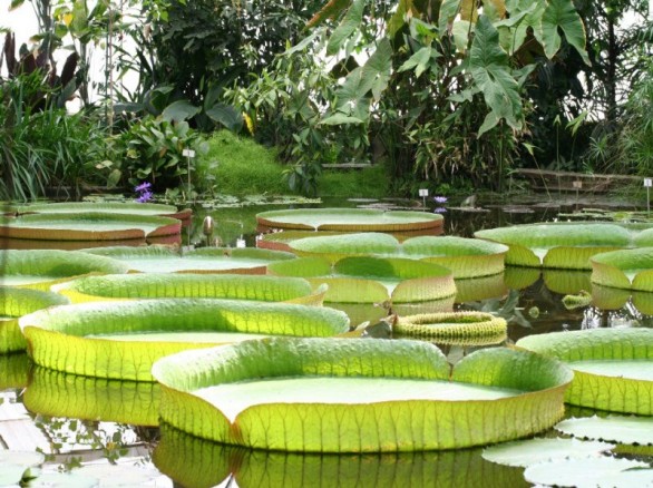 Chùa Lá Sen (Chùa Phước Kiển)