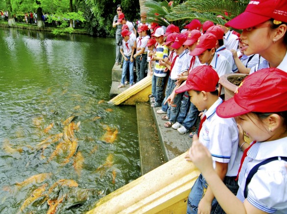 Chuyện về ao cá Bác Hồ
