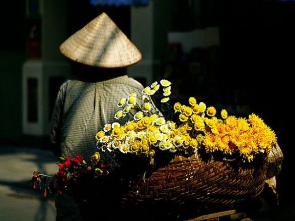 Tháng 10 cúc lại nở hoa