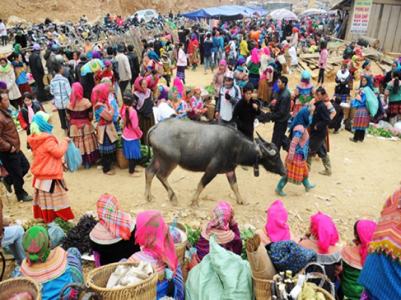 Chợ Cán Cấu