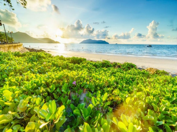 Côn Đảo: Thiên đường vươn mình từ địa ngục
