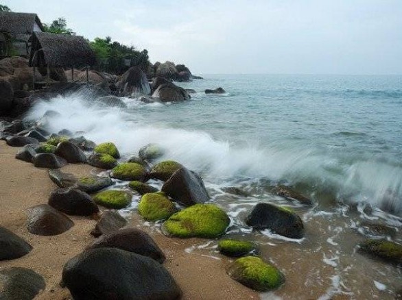 Tham quan Rạn Nam Ô ở Đà Nẵng